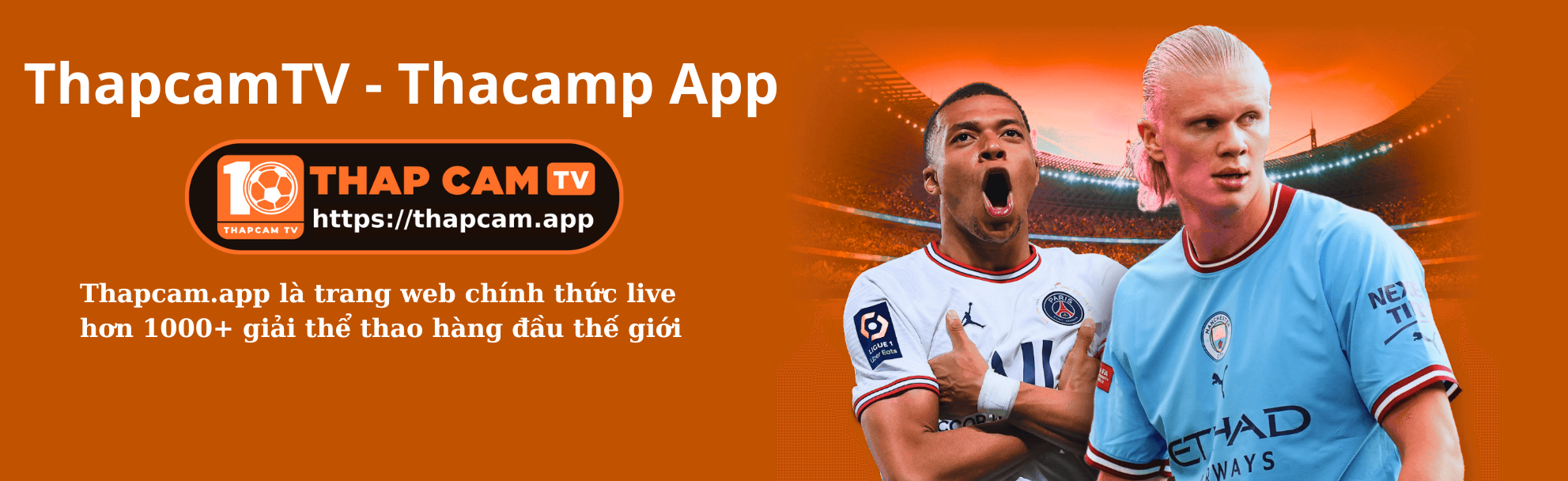 Xem thapcamtv nhanh nhất cùng thapcamtv app